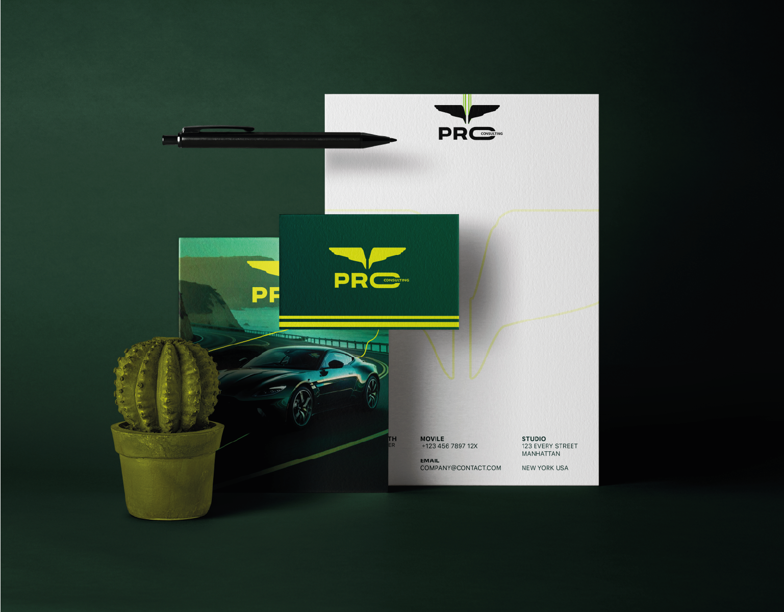 PRO CONSULTING centro